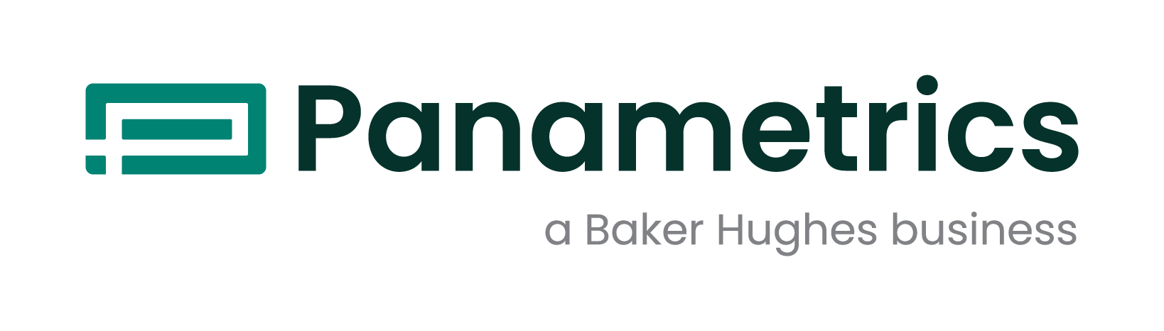 Panametrics для измерения биогаза